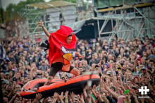 Angry Bird Surfing
