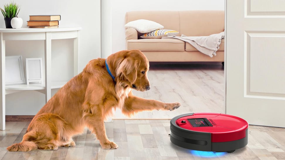 Metode Korrespondent Fatal Can you use a robot vacuum if you have pets that shed a ton of hair? -  Reviewed
