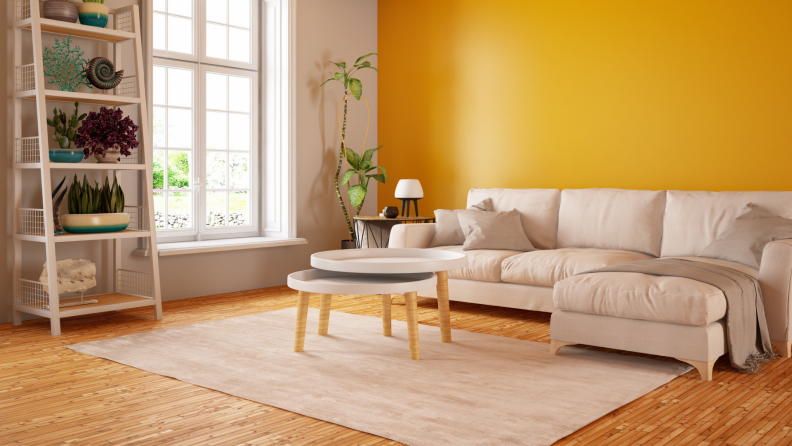 Yellow painted living room with couch, coffee table and plant filled shelf.
