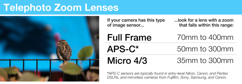 A telephoto zoom's focal lengths will fall into these ranges, depending on what kind of camera you're using.