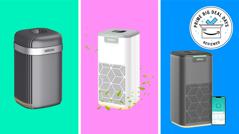 Prome air purifier hotsell