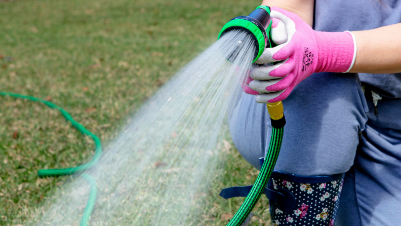 A person spraying the grass with water