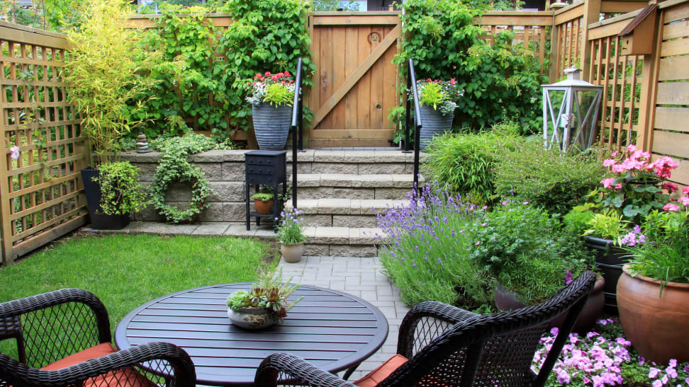 Small outdoor yard space with patio furniture and vibrant flowers.