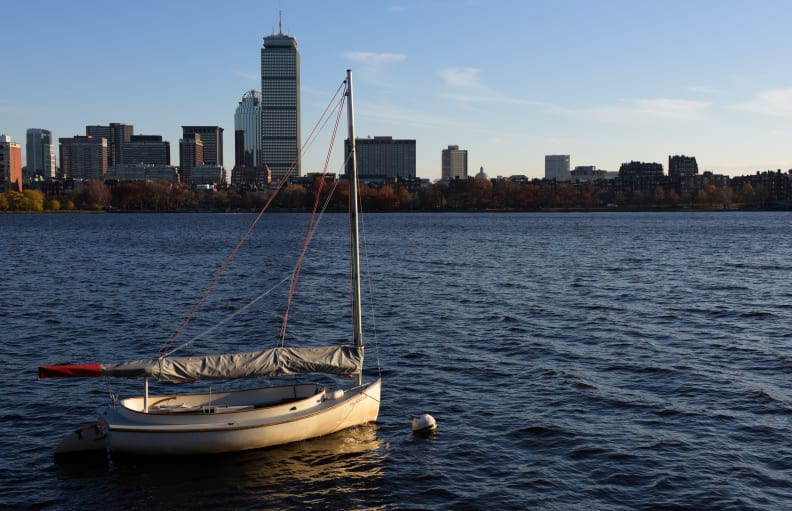 The viewfinder of the D810 is large and bright, making it an excellent framing device for landscape shots.