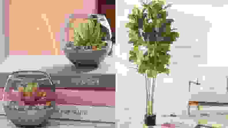 Side-by-side images of succulents and a fake tree