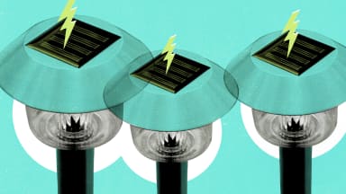 Solar panel lawn lights against a teal background