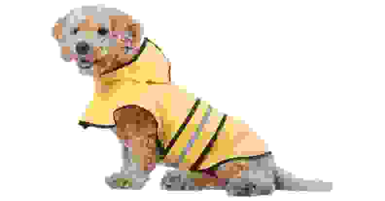 Yellow raincoat for a dog