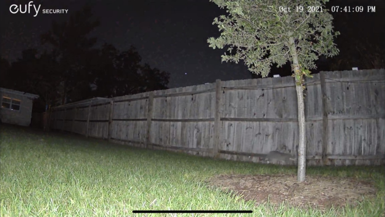 Home security footage captured at night.