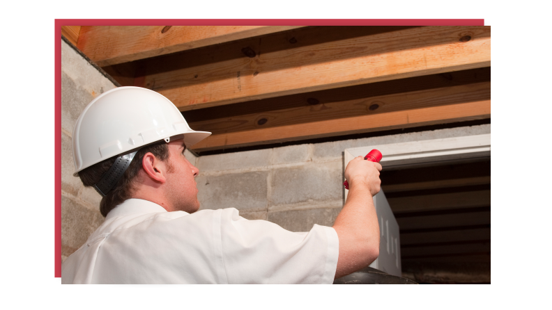 A professional with a flashlight and a hard hard checking for any possible entry points in an attic.