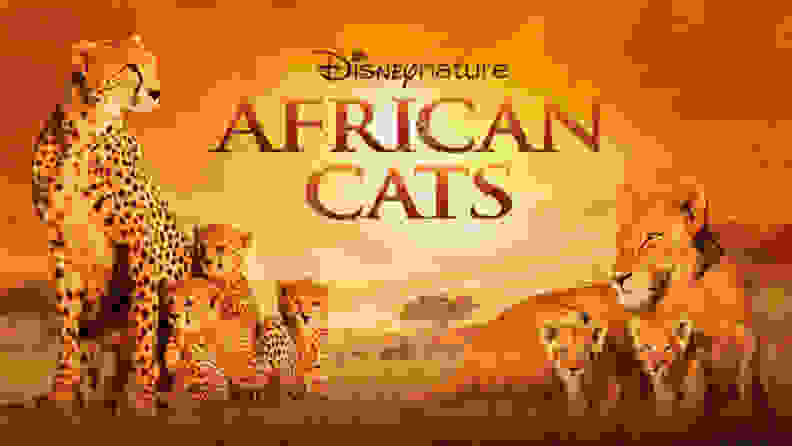 African Cats title card
