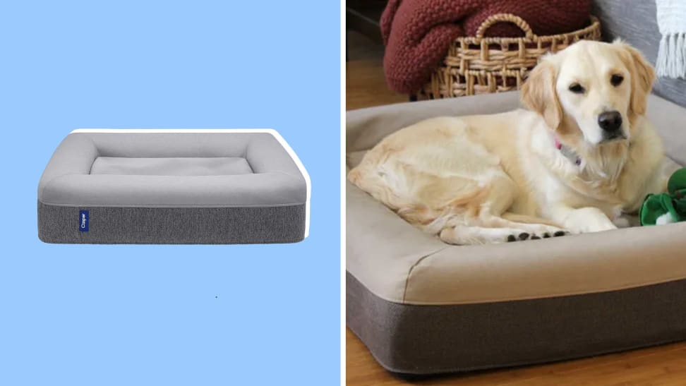 Amazon Pet Day deal: Save 25% on the Casper Dog Bed we're obsessed with