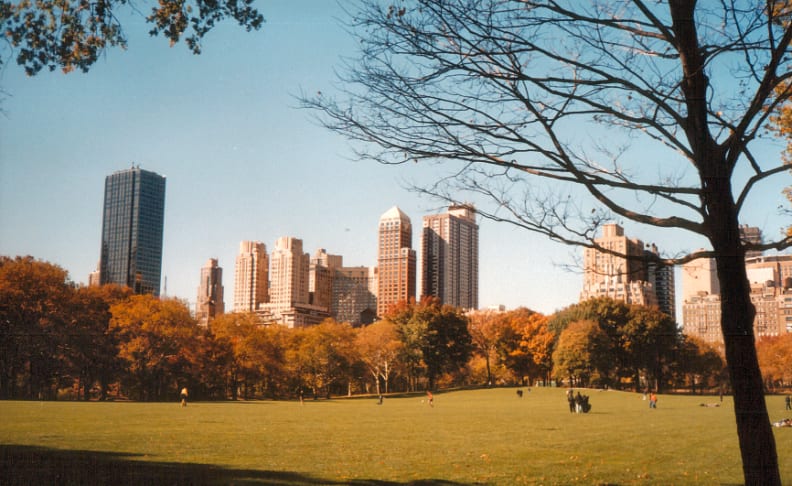 Centralpark-Urban.png