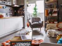 A cozy apartment that feels well lived in with lots of pillows and objects about.