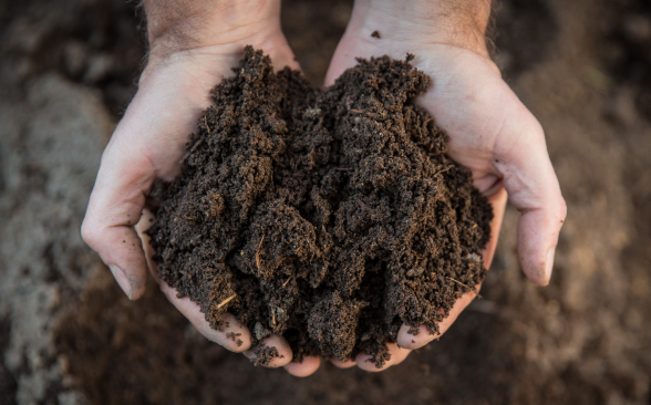 Two hands hold a handful of earthy brown compost