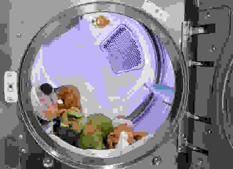 can i put my stuffed animal in the dryer