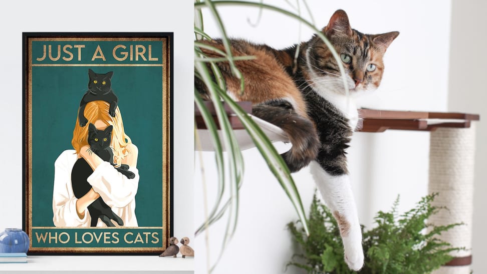 Italian Woman Documents The Carefree Life Of Her Cat And It Kinda
