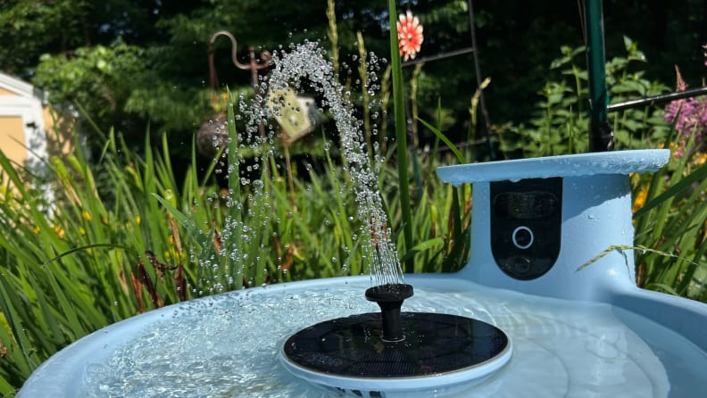Close up of the fountain on A Birdfy Bath Pro stands in a garden