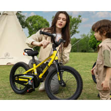 Product image of Royalbaby EZ Bike