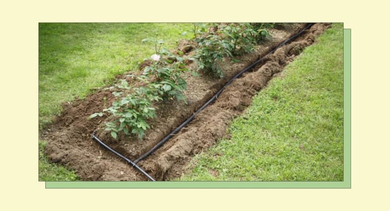 A water hose laid out in a garden bed