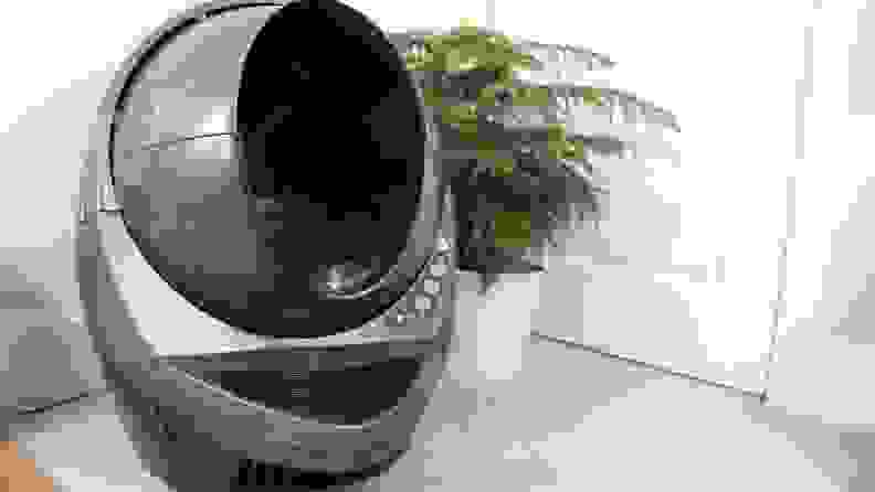 An image of the litter robot on a floor next to a plant.