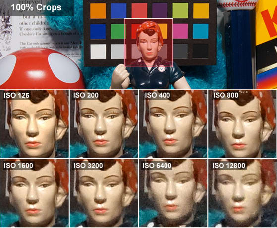 rosiecropsrx10.jpg