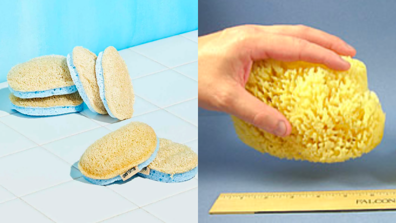 Two images of natural sponges.