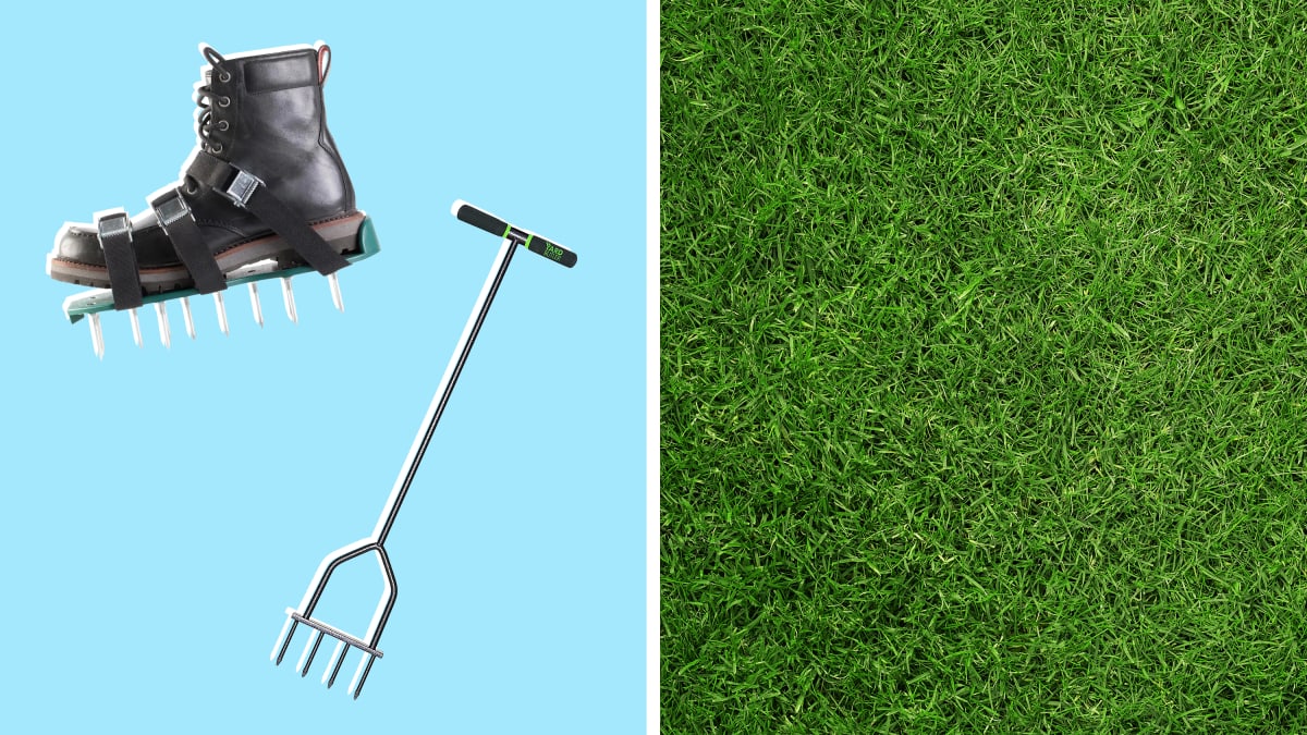 Are you aerating your lawn? You should be