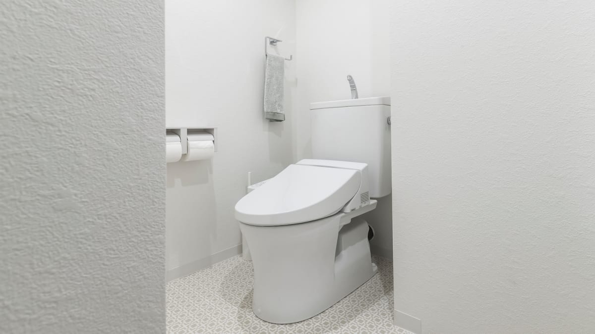 Toilet Paper Alternative: Bidet Attachments and Seats - Get Green Be Well