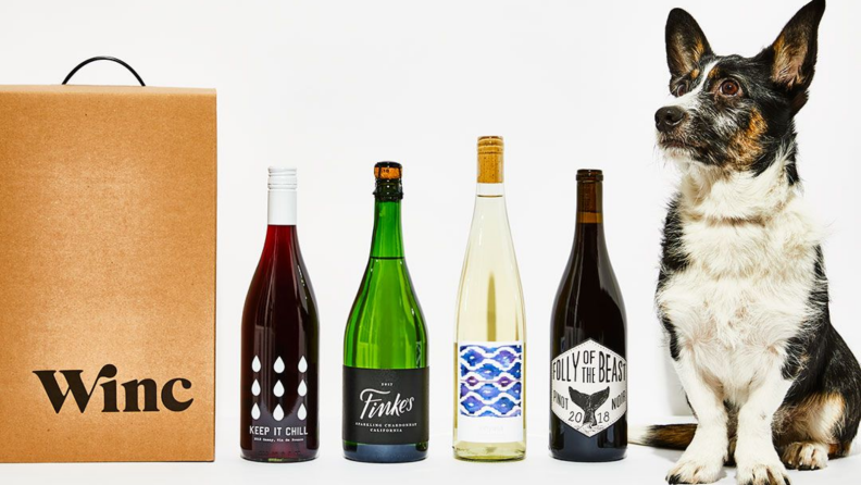From left to right: A cardboard box, four bottles of wine, and a small black and white dog.