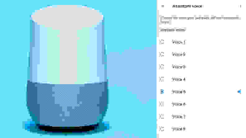 Google Home Voice Options