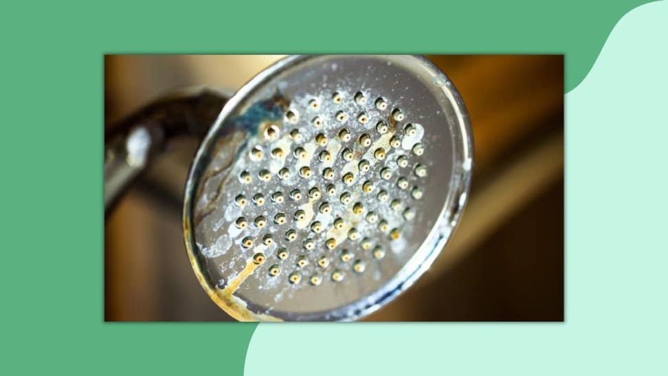 Here's how to clean a shower head - Reviewed