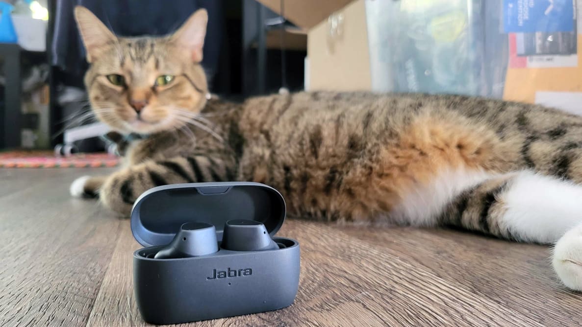 Jabra Elite 3, case open, sitting in front of a brown tabby cat
