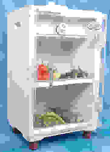 Mitticool Clay Refrigerator