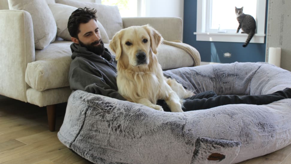 Man and dog on a Plufl bed.