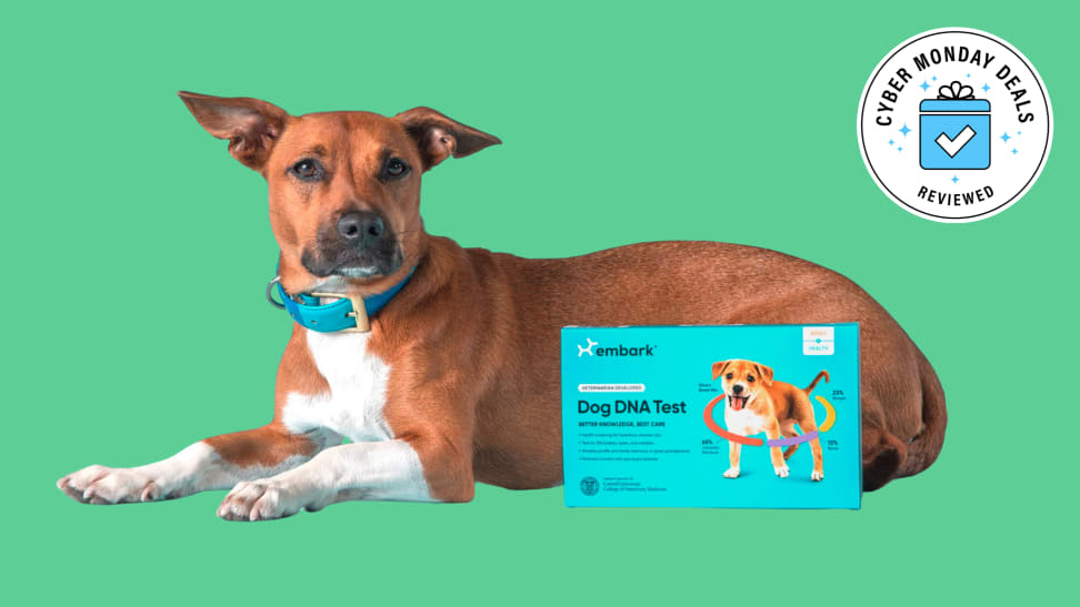 Embark dog dna discount cheap