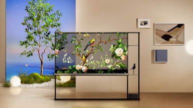 The transparent, 77-inch OLED TV staged in a post-modern room with a wall-sized portrait of a tree behind it, so as to emphasize the TV's transparent display
