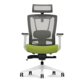 Gabrylly Mesh vs Sihoo M18 Ergonomic Office Chair – Which one is the best  ergonomic office chair? – Business Professionals' Health & Wellness