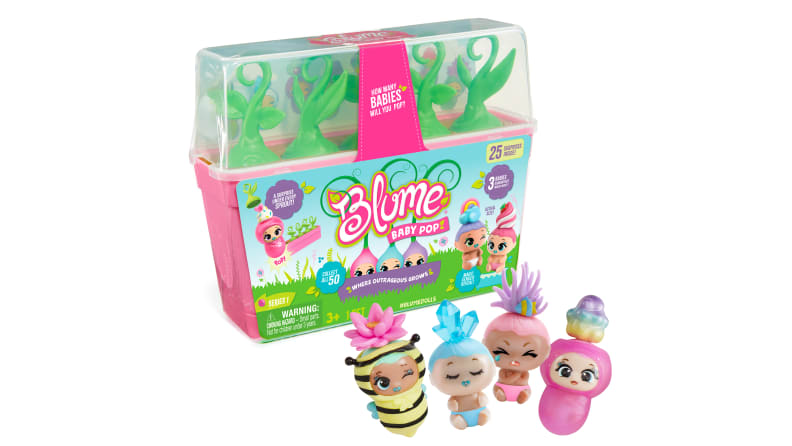 Blume Pop