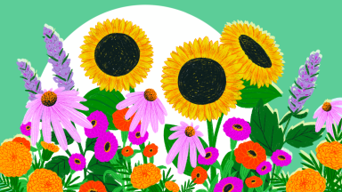 An illustration of yellow, pink, purple, and orange spring flowers on a green and white background