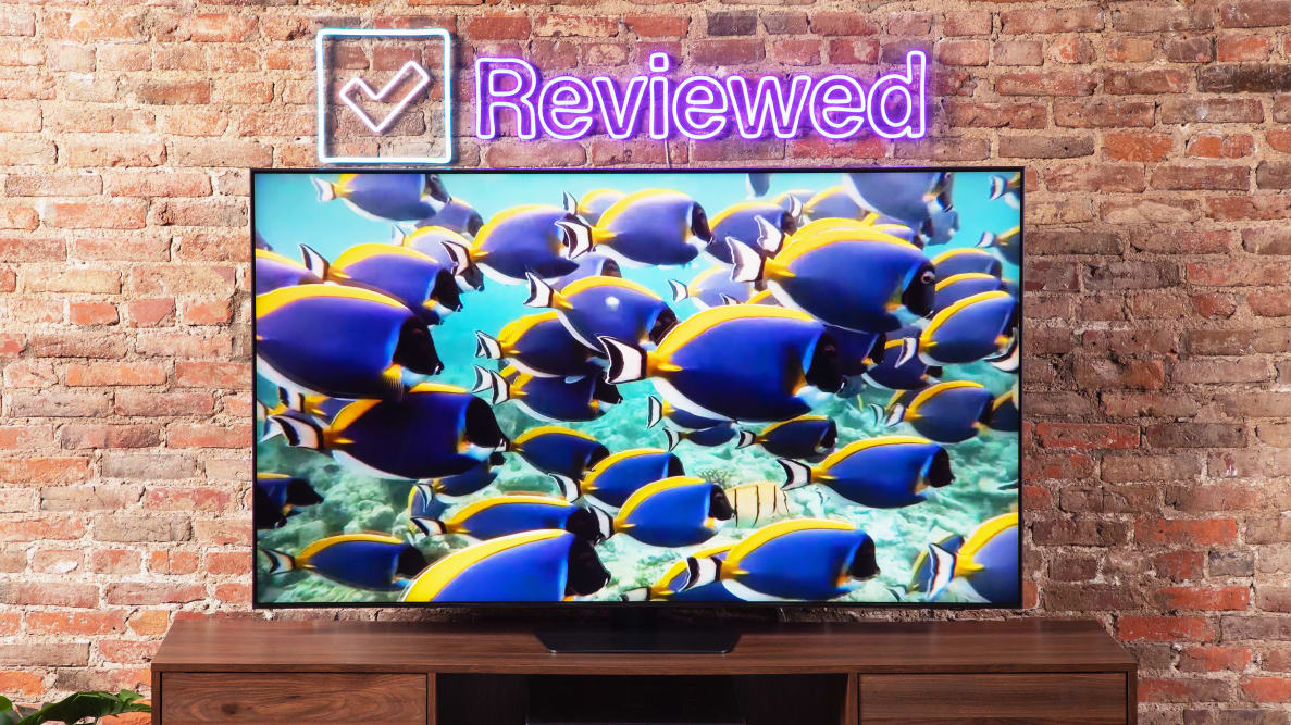 The Samsung TV in the Reviewed lab displaying a school of fish underwater