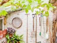 Tools hanging on a wall of garden shed