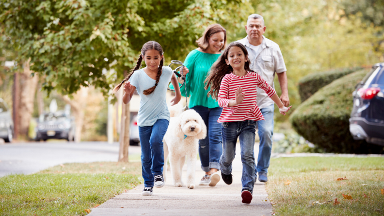 Family walks the dog down the street