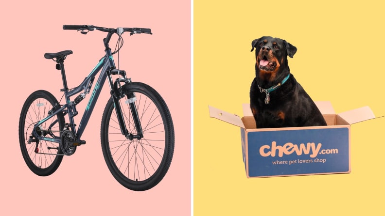 A bike against a pink background on the left. A Rottweiler sitting in a Chewy box against a yellow background on the right.