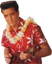 aloha-shirt-2.jpg