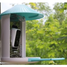 Product image of Netvue Birdfy Feeder AI