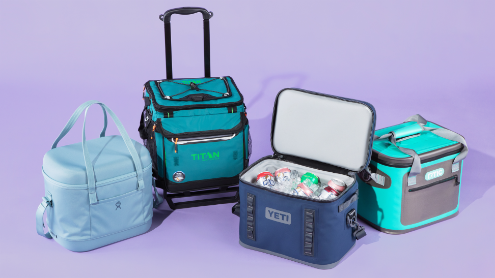 Four soft coolers sitting together against a purple background