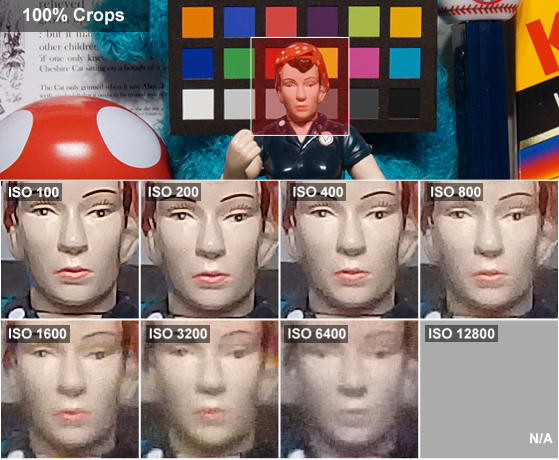 DCI-ROSIE.jpg