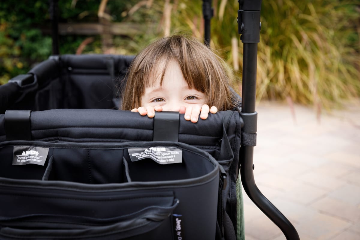 8 Best Stroller Wagons of 2023 - Reviewed