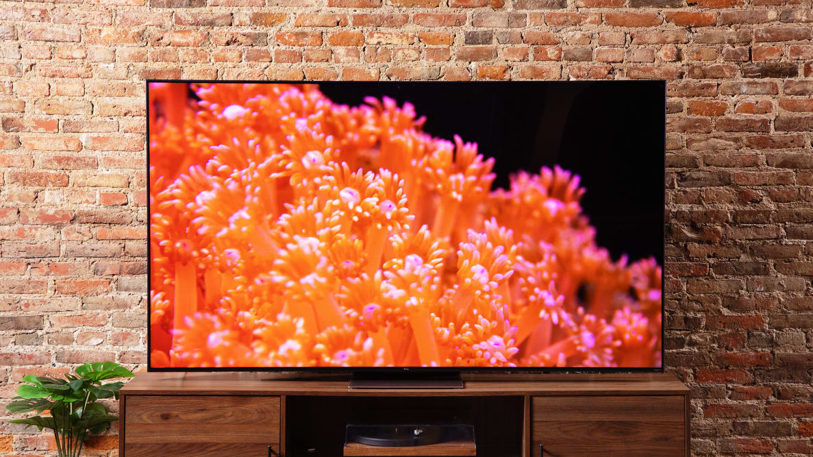 TCL 75R655 with underwater display in front of brick wall indoors.