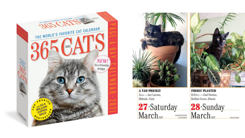 An image of a cat-of-the-day calendar box alongside a printout of a day from the calendar.